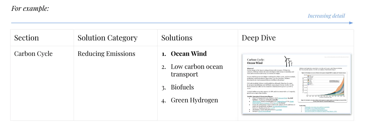 Illustration from Ocean Primer for Land Lovers