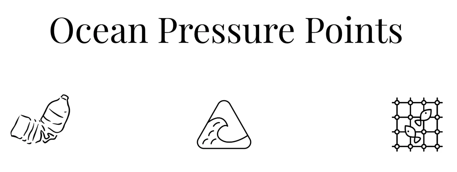 Illustration from Ocean Primer for Land Lovers
