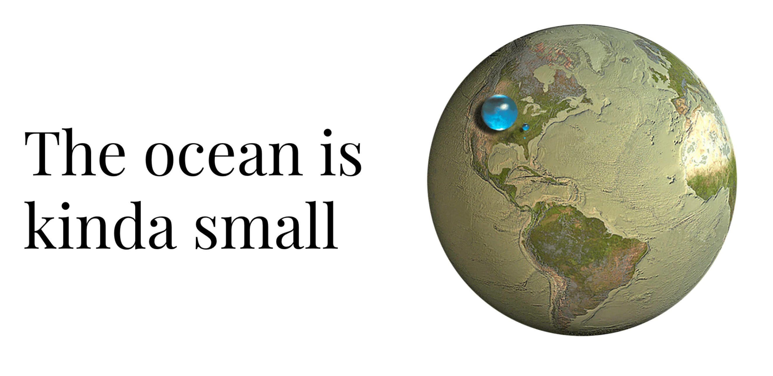 Phytoplankton and carbon transfer