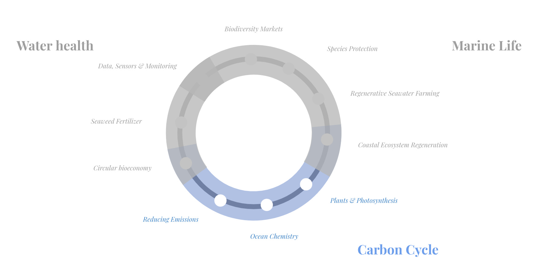 Plants and photosynthesis approaches