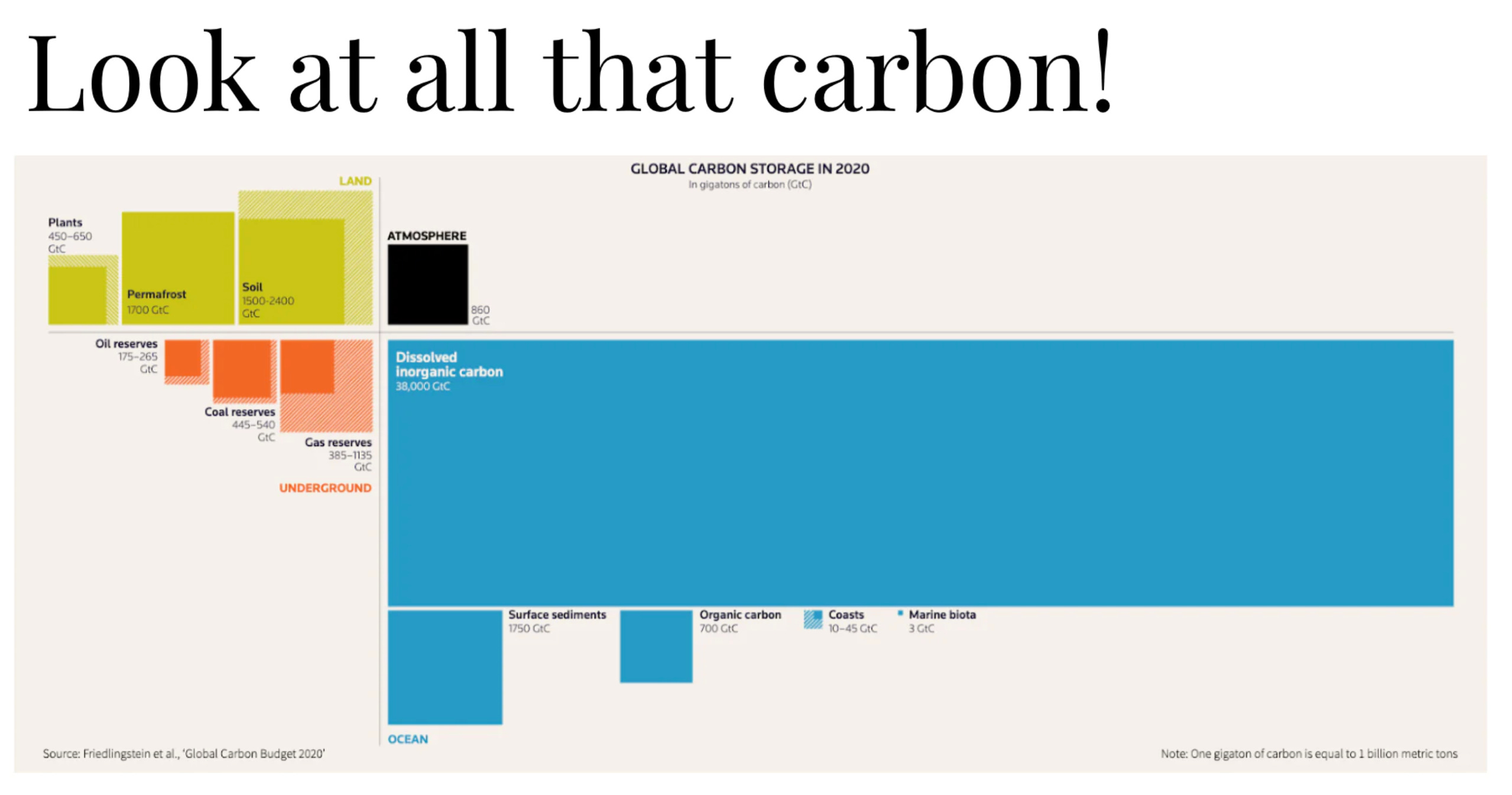 Marine pollution impacts