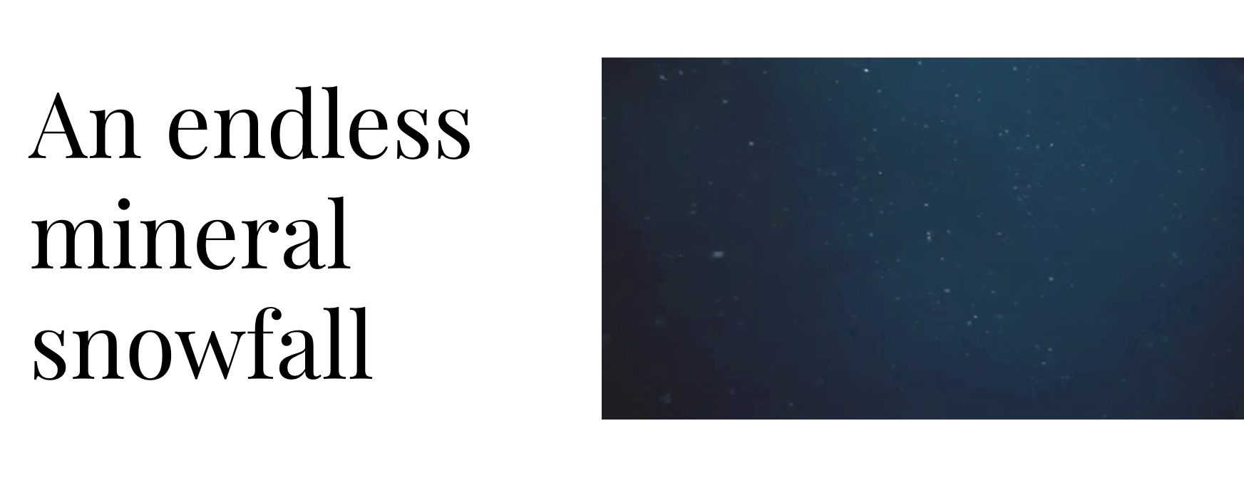 Three pressures on ocean health